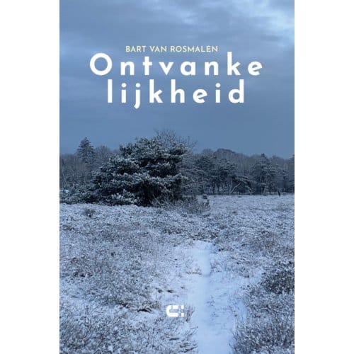 Ontvankelijkheid - Bart van Rosmalen