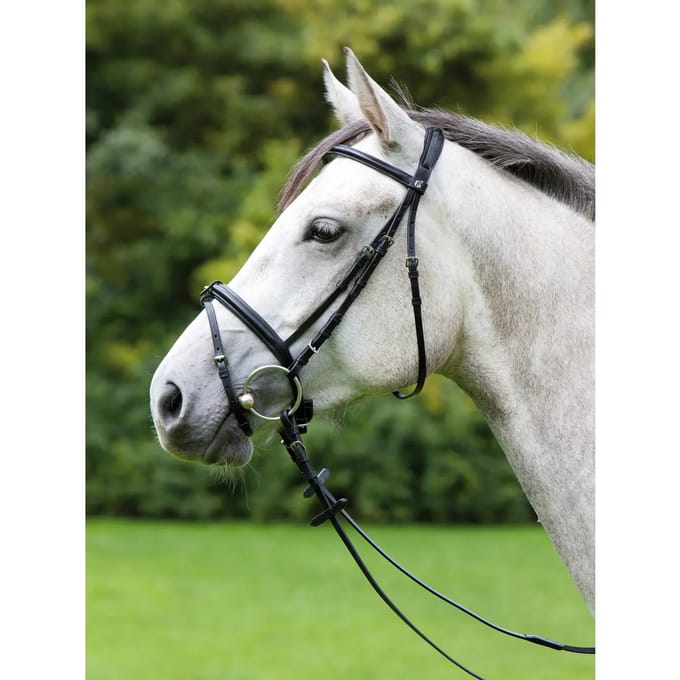 Hoofdstel Kieffer Anja Beran combined noseband and chip pad