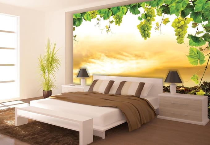 Sunset Grapes Grape Vine Nature Photo Wallcovering
