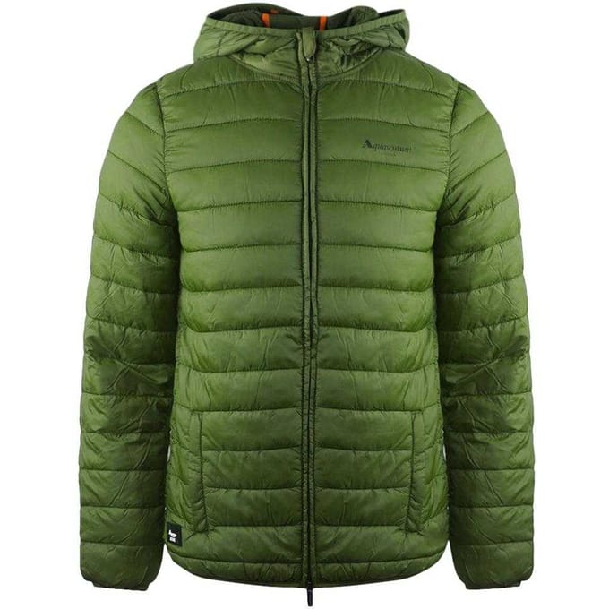 Aquascutum Gewatteerd logo-jack heren Londen (Groen)