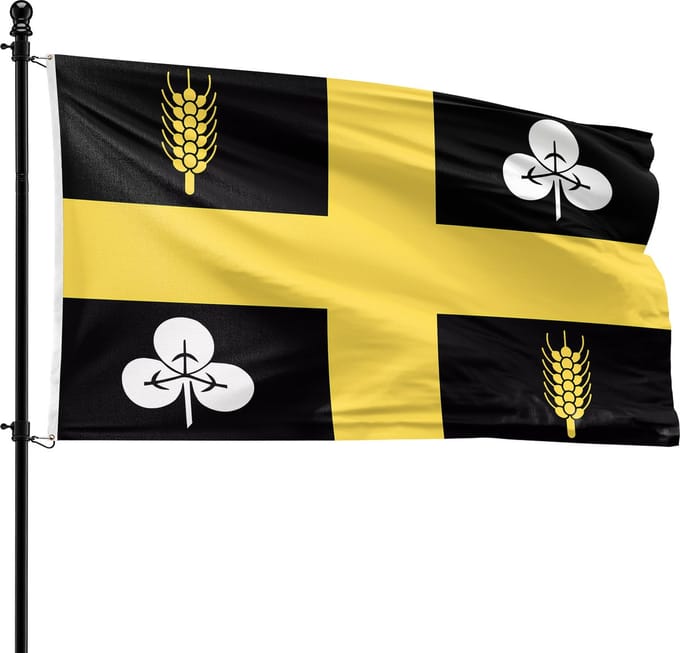 VlagDirect - Raalte vlag - Gemeente Raalte vlag - 90 x 150 cm.